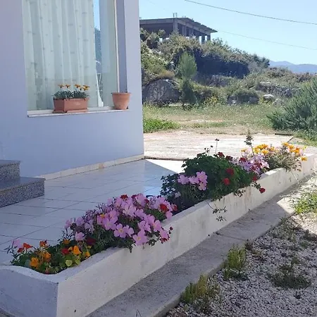 Damian Sarandë